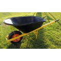 Roaba profesionala Wombat 100L-1
